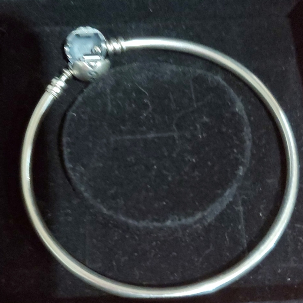 Authentic Pandora Bangle & Charm - image 2